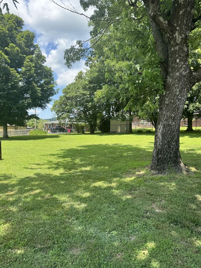 625 College Ave E, Carthage, TN 37030 - view of yard
