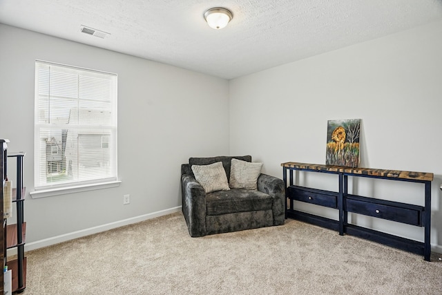 427 Rick Mccormick Dr, La Vergne, TN 37086 - sitting room featuring carpet floors and a textured ceiling