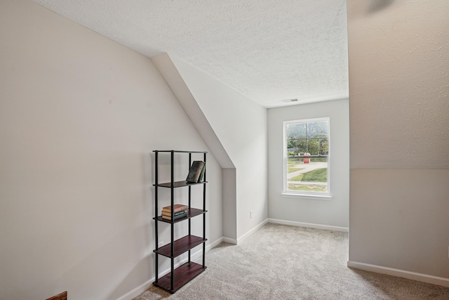 427 Rick Mccormick Dr, La Vergne, TN 37086 - bonus room with a textured ceiling, carpet, and lofted ceiling
