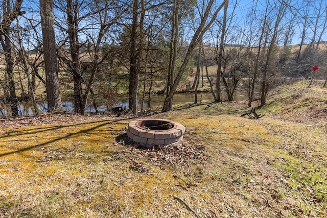 5027 Fanchers Mill Rd, Sparta, TN 38583 - photo 14