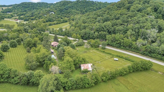 6861 Arno Allisona Rd, College Grove, TN 37046 - aerial overview of property's location with a forest