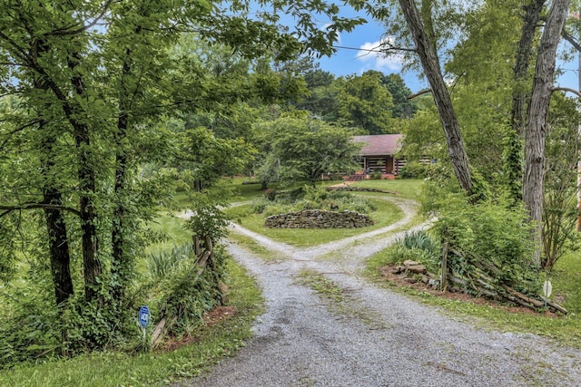 6861 Arno Allisona Rd, College Grove, TN 37046 - view of dirt / gravel road