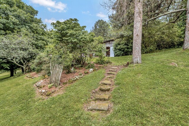 6861 Arno Allisona Rd, College Grove, TN 37046 - view of green lawn