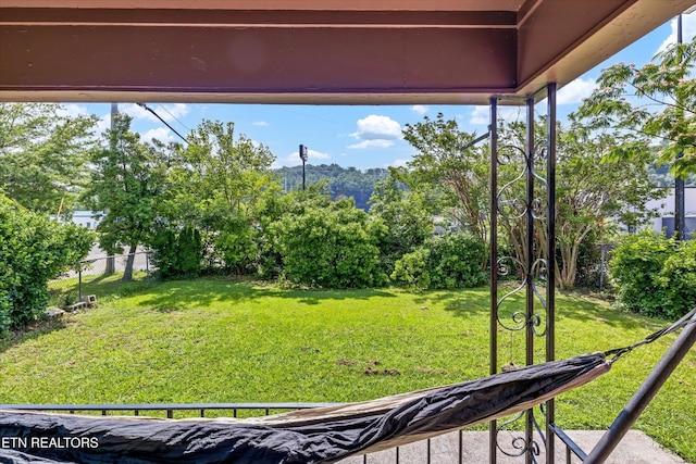 4616 Coile Rd, Knoxville, TN 37918 - view of yard