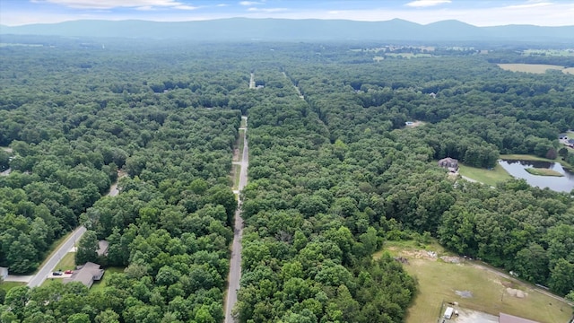 7030 Ute Ln, Crossville, TN 38572 - photo 5