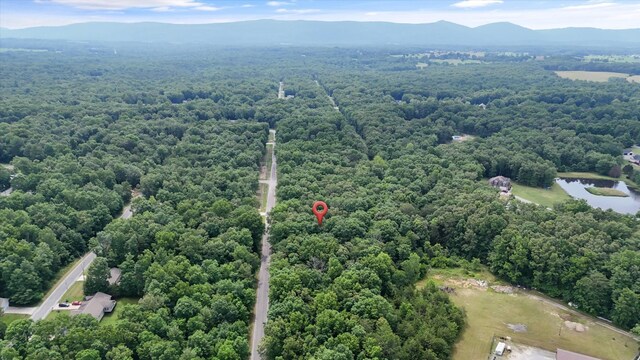 7030 Ute Ln, Crossville, TN 38572 - photo 6