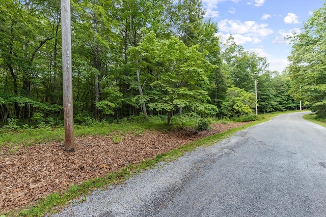 122 Banbury Ln, Crossville, TN 38558 - photo 10