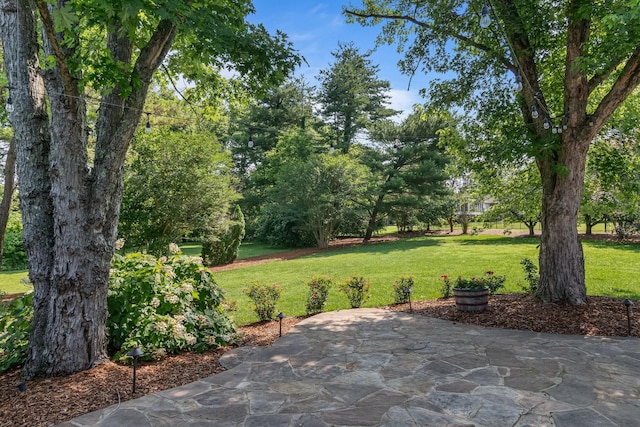 1111 Chickasaw Dr, Brentwood, TN 37027 - view of patio / terrace