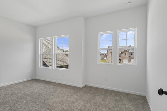 1607 Burlwood Ct, Murfreesboro, TN 37129 - photo 33