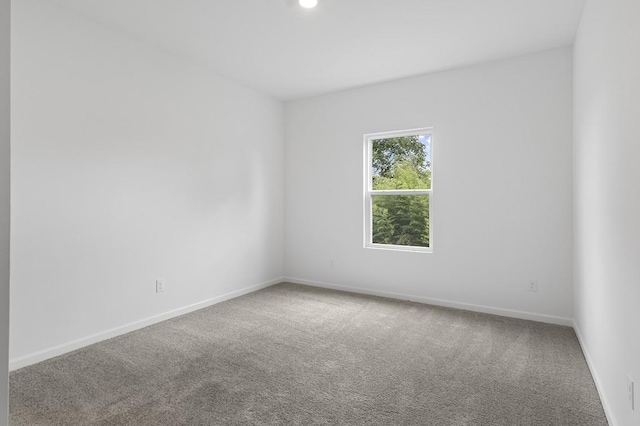 1607 Burlwood Ct, Murfreesboro, TN 37129 - photo 39