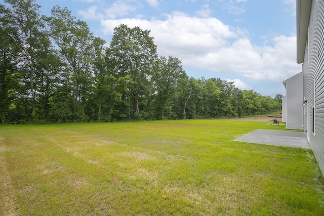 4022 Rampart Way, Spring Hill, TN 37174 - view of green lawn featuring a patio area and a view of trees