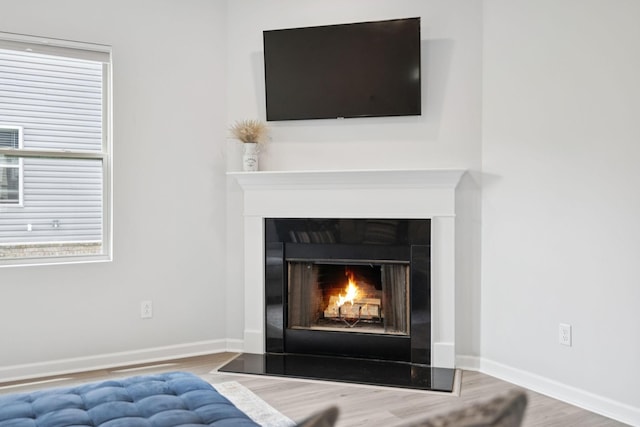 3276 Holiday Ln, Columbia, TN 38401 - detailed view of wood finished floors and a warm lit fireplace