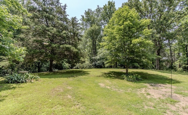730 Carlew Rd, Waynesboro, TN 38485 - view of grassy yard