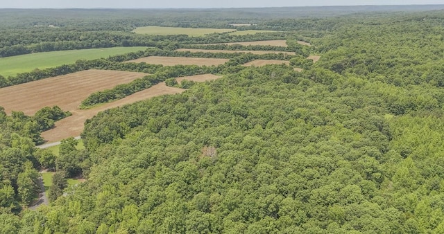 730 Carlew Rd, Waynesboro, TN 38485 - bird's eye view of a heavily wooded area
