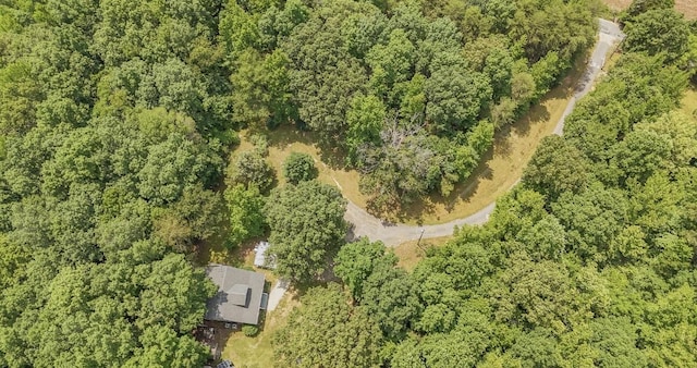 730 Carlew Rd, Waynesboro, TN 38485 - view of property location featuring a heavily wooded area