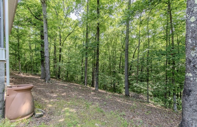 730 Carlew Rd, Waynesboro, TN 38485 - view of yard featuring a forest view