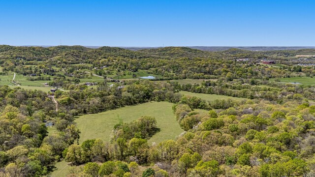 4540 Peytonsville Rd, Franklin, TN 37064 - photo 14