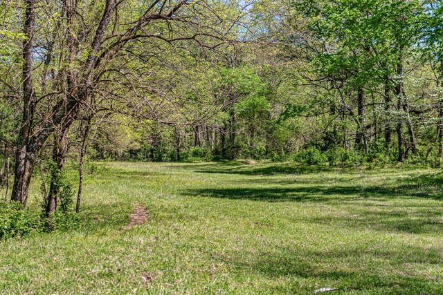 4540 Peytonsville Rd, Franklin, TN 37064 - photo 31