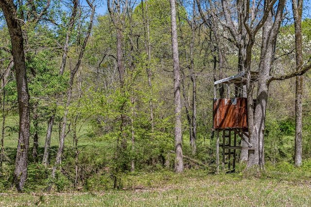 4540 Peytonsville Rd, Franklin, TN 37064 - photo 34