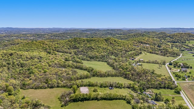 4540 Peytonsville Rd, Franklin, TN 37064 - photo 8