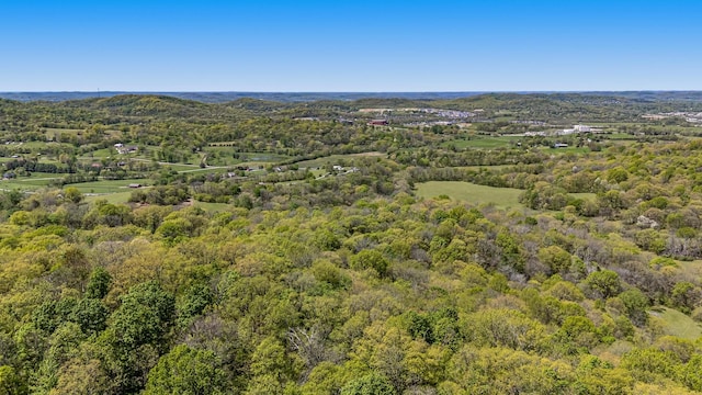 4540 Peytonsville Rd, Franklin, TN 37064 - photo 18