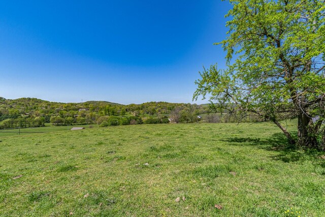 4540 Peytonsville Rd, Franklin, TN 37064 - photo 32