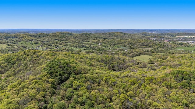 4540 Peytonsville Rd, Franklin, TN 37064 - photo 17