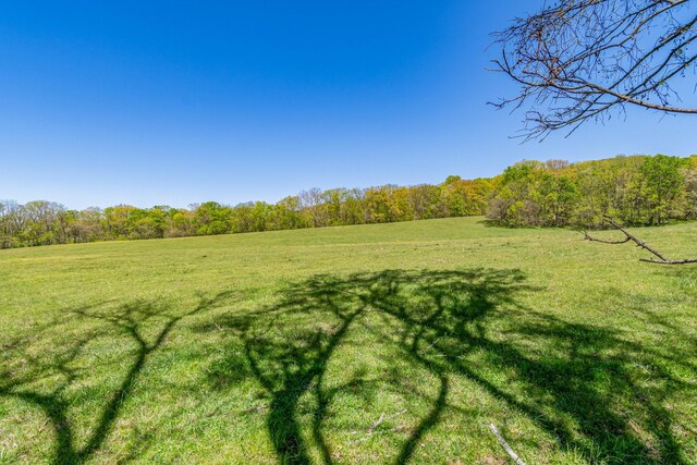 4540 Peytonsville Rd, Franklin, TN 37064 - photo 29