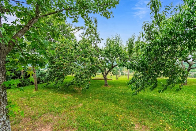 4540 Peytonsville Rd, Franklin, TN 37064 - photo 84