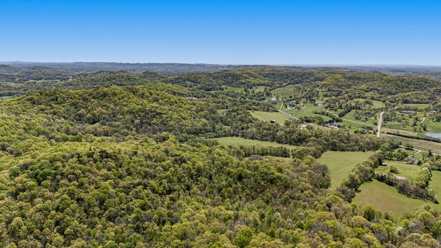 4540 Peytonsville Rd, Franklin, TN 37064 - photo 12