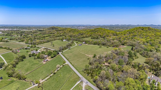 4540 Peytonsville Rd, Franklin, TN 37064 - photo 7