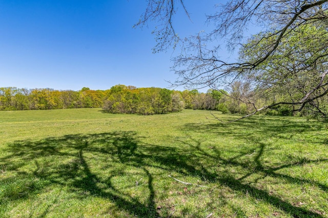 4540 Peytonsville Rd, Franklin, TN 37064 - photo 28