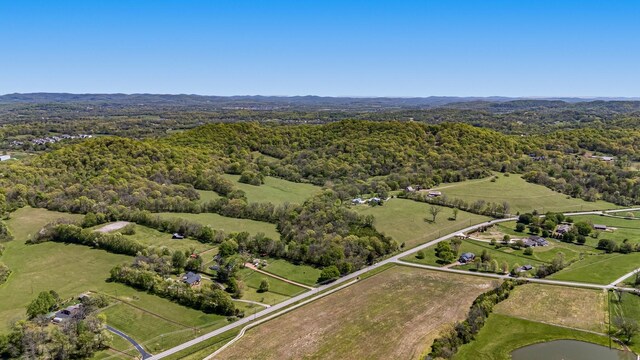 4540 Peytonsville Rd, Franklin, TN 37064 - photo 6
