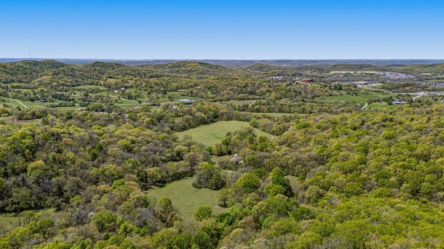 4540 Peytonsville Rd, Franklin, TN 37064 - photo 15