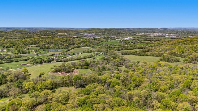 4540 Peytonsville Rd, Franklin, TN 37064 - photo 9