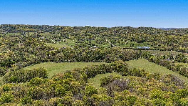 4540 Peytonsville Rd, Franklin, TN 37064 - photo 13