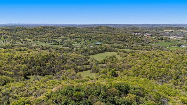 4540 Peytonsville Rd, Franklin, TN 37064 - photo 16