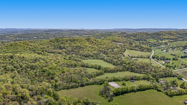 4540 Peytonsville Rd, Franklin, TN 37064 - photo 10