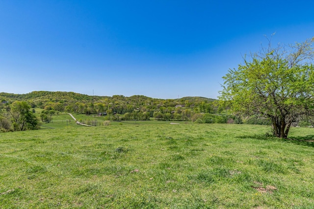4540 Peytonsville Rd, Franklin, TN 37064 - photo 33