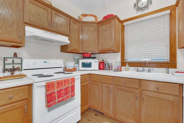 110 Village Way, Lancaster, TN 38569 - kitchen with white appliances, under cabinet range hood, light countertops, and light wood-style flooring