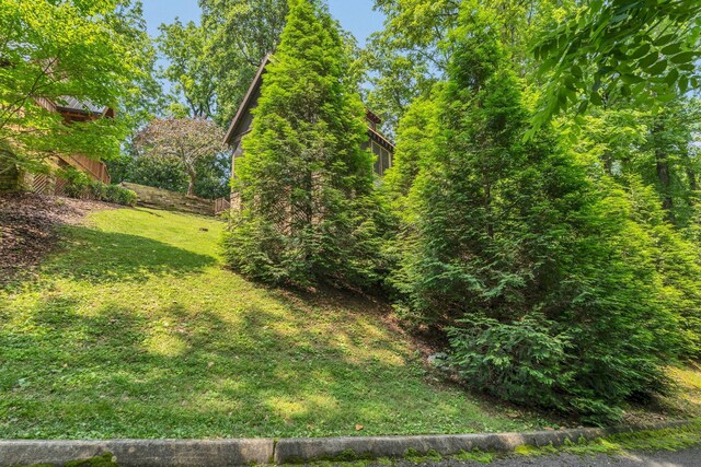 110 Village Way, Lancaster, TN 38569 - view of green lawn