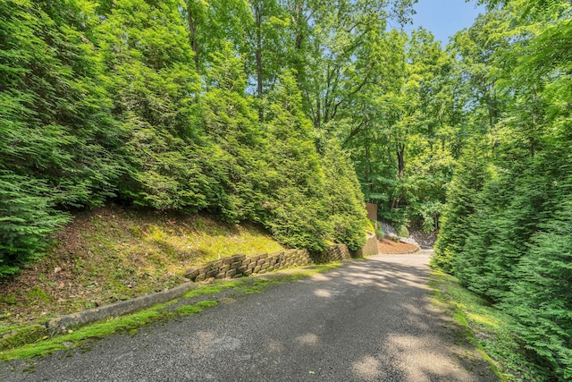 110 Village Way, Lancaster, TN 38569 - view of street with a view of trees