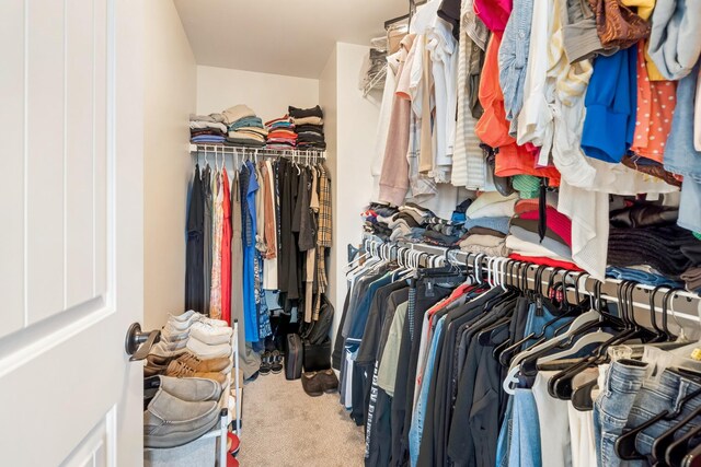 2018 Via Francesco Ct, Spring Hill, TN 37174 - walk in closet featuring carpet floors