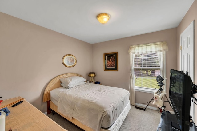 1611 London Dr, Columbia, TN 38401 - bedroom featuring carpet floors and baseboards