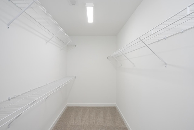 4018 Rampart Way, Spring Hill, TN 37174 - spacious closet with light colored carpet