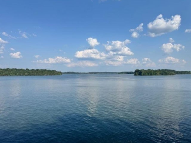 22 Cowan Ct, Mount Juliet, TN 37122 - water view