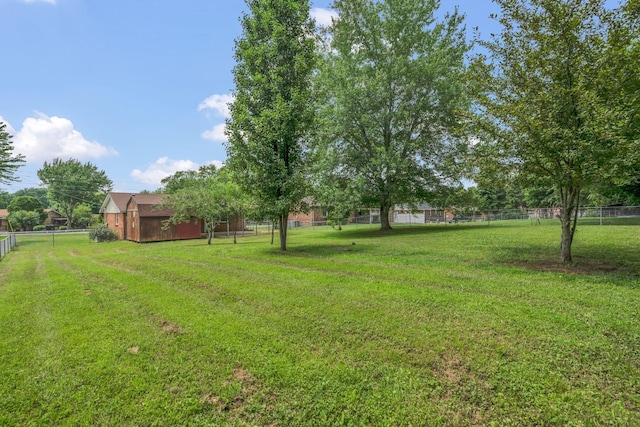 575 Cynthia Dr, Clarksville, TN 37042 - view of yard