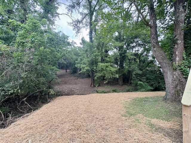 208 Lookout Dr, Old Hickory, TN 37138 - photo 30