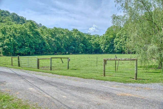 1034 Gaw Branch Rd, Gainesboro, TN 38562 - view of asphalt road featuring a wooded view and a view of rural / pastoral area