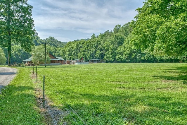1034 Gaw Branch Rd, Gainesboro, TN 38562 - view of green lawn with a wooded view